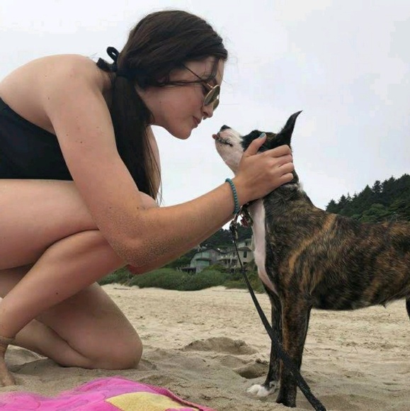 Meet your Posher, Sierra - Picture 1 of 1